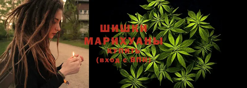 Каннабис марихуана  blacksprut зеркало  Каменногорск 